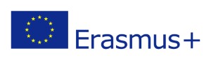 erasmus Custom